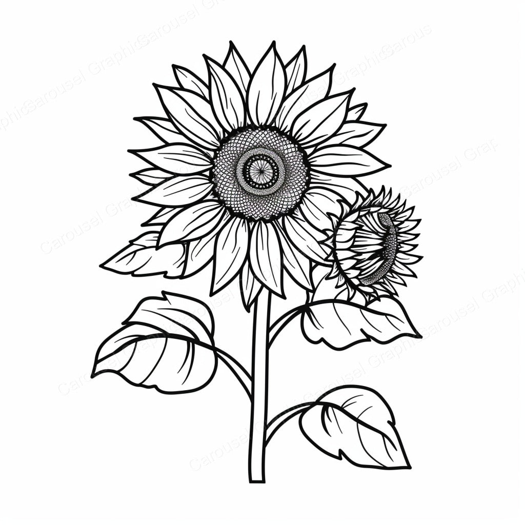 Sunflower Vector Graphic preview
