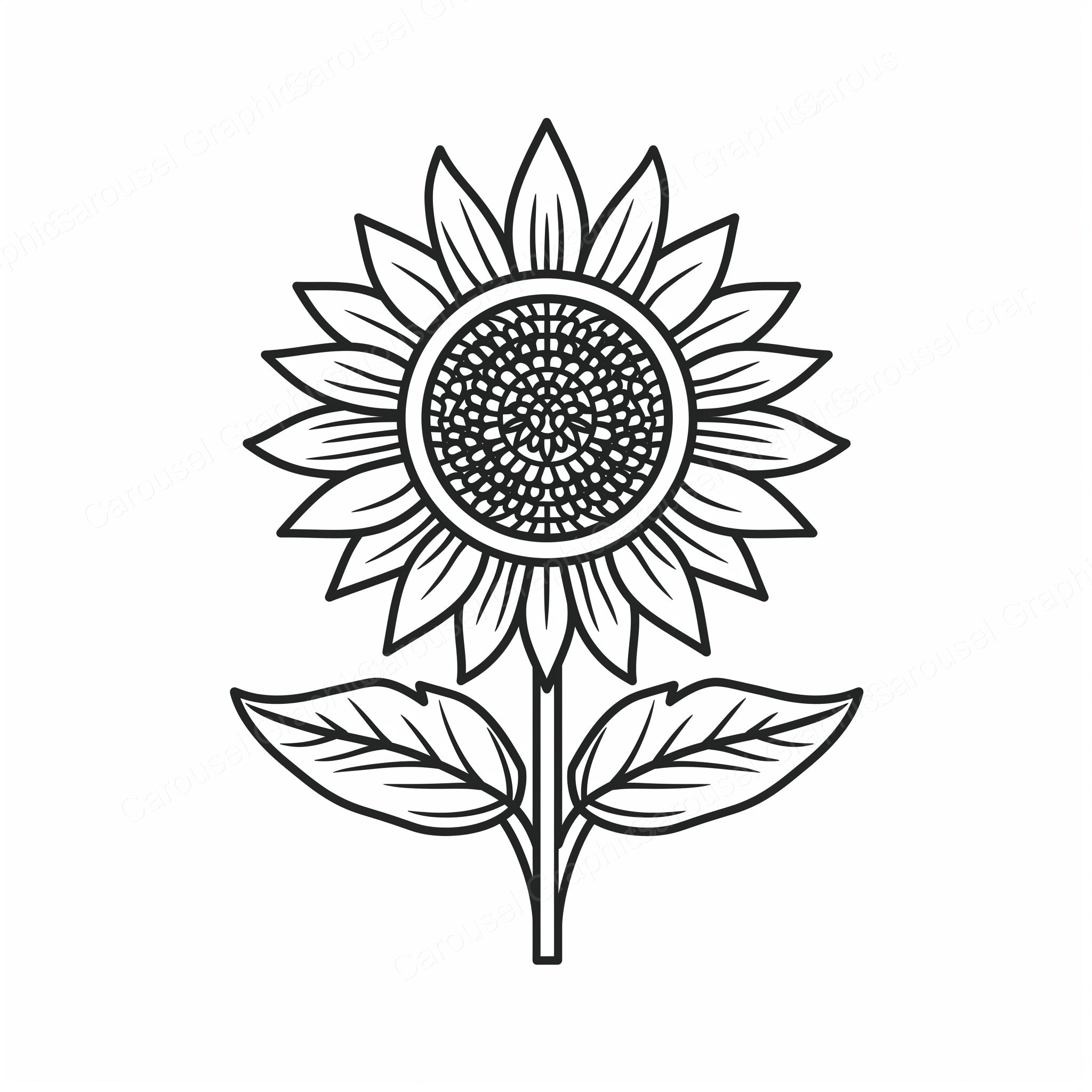 Sunflower Vector Graphic preview