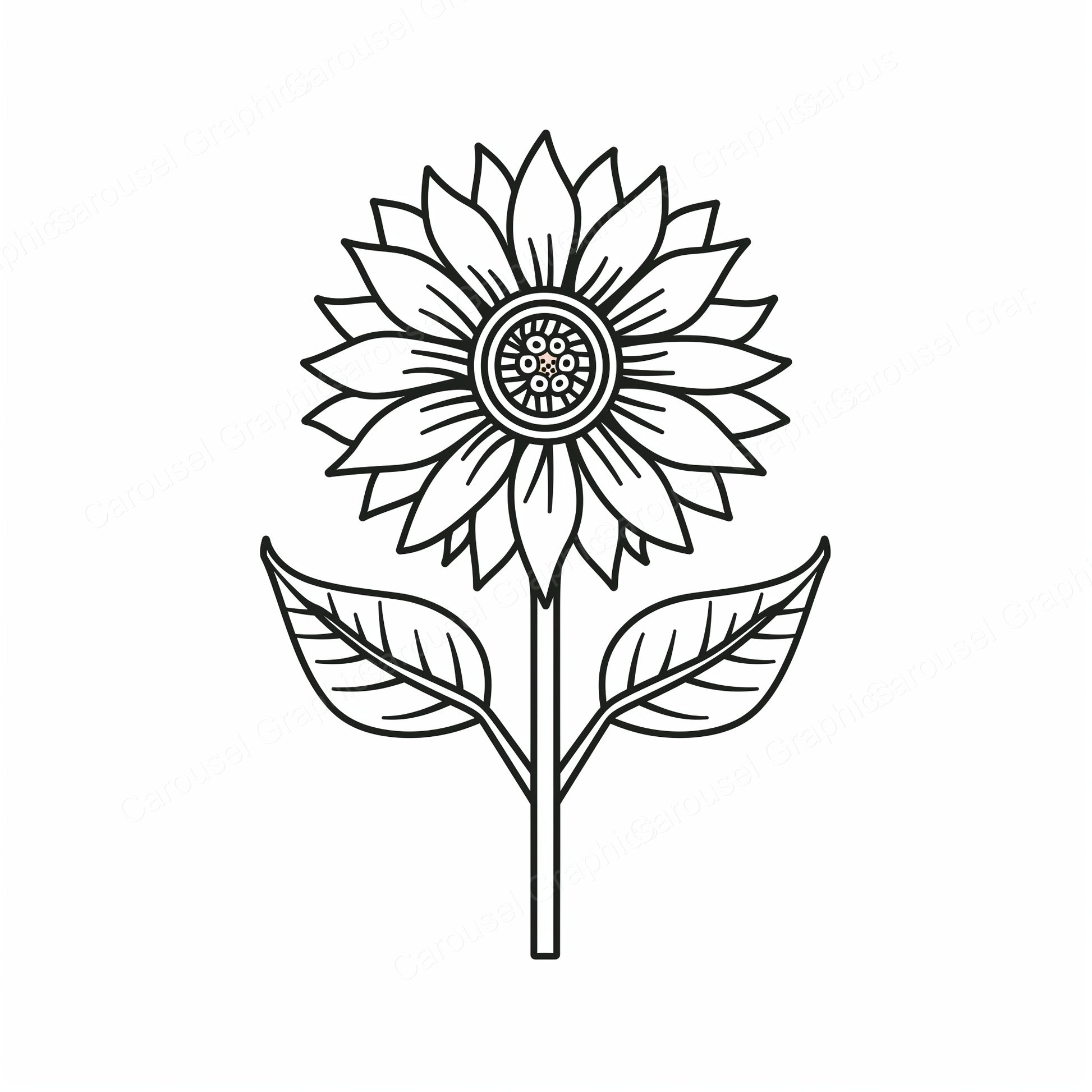 Sunflower Vector Graphic preview