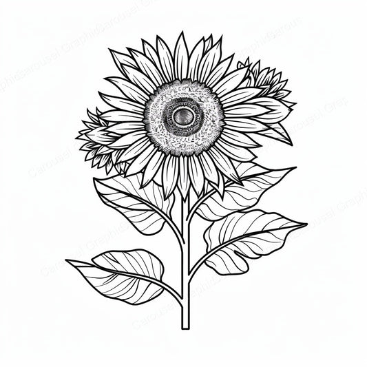 Sunflower Vector Graphic preview