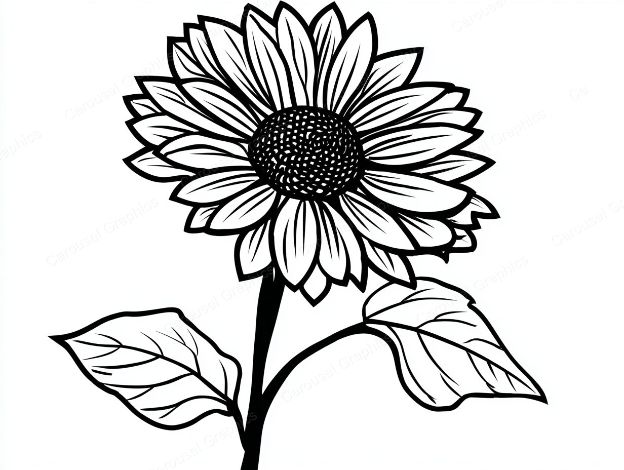 Sunflower Vector Graphic preview