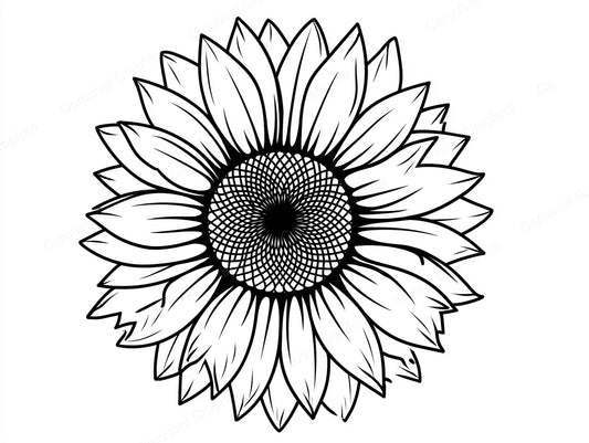 Sunflower Vector Graphic preview