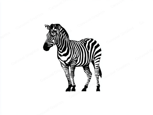 Zebra Vector Graphic preview