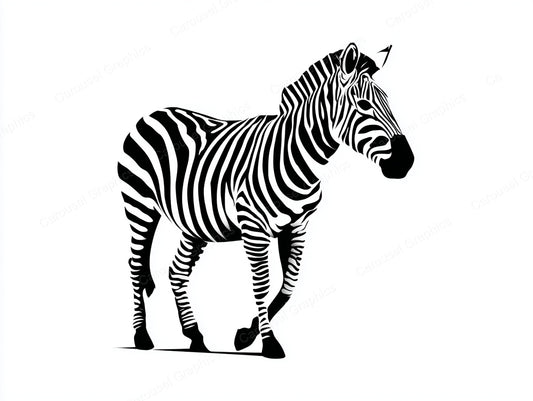 Zebra Vector Graphic preview