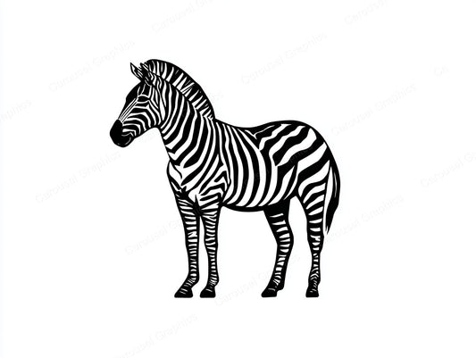 Zebra Vector Graphic preview