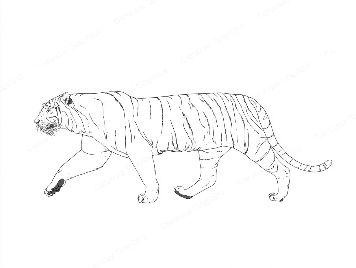 Tiger Vector Graphic preview