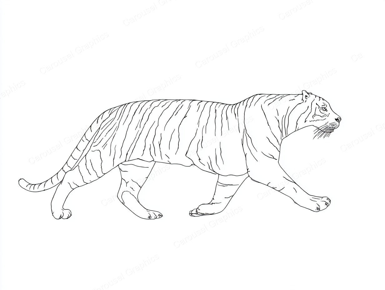 Tiger Vector Graphic preview