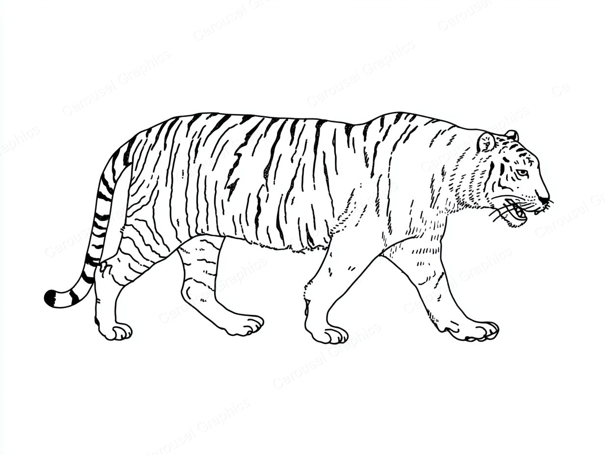 Tiger Vector Graphic preview