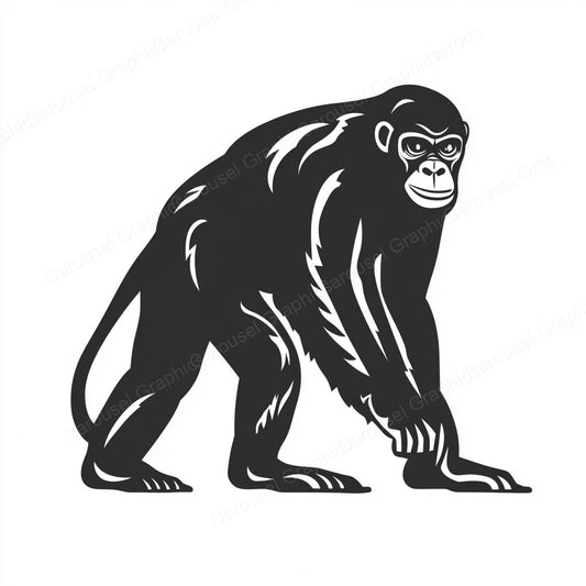 Ape Vector Graphic preview