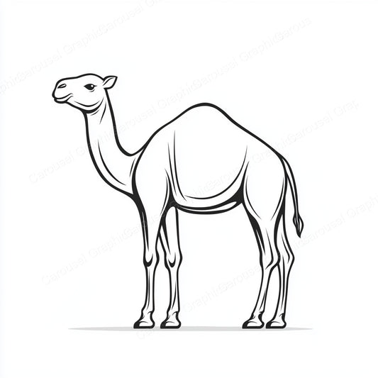 Camel Vector Graphic preview
