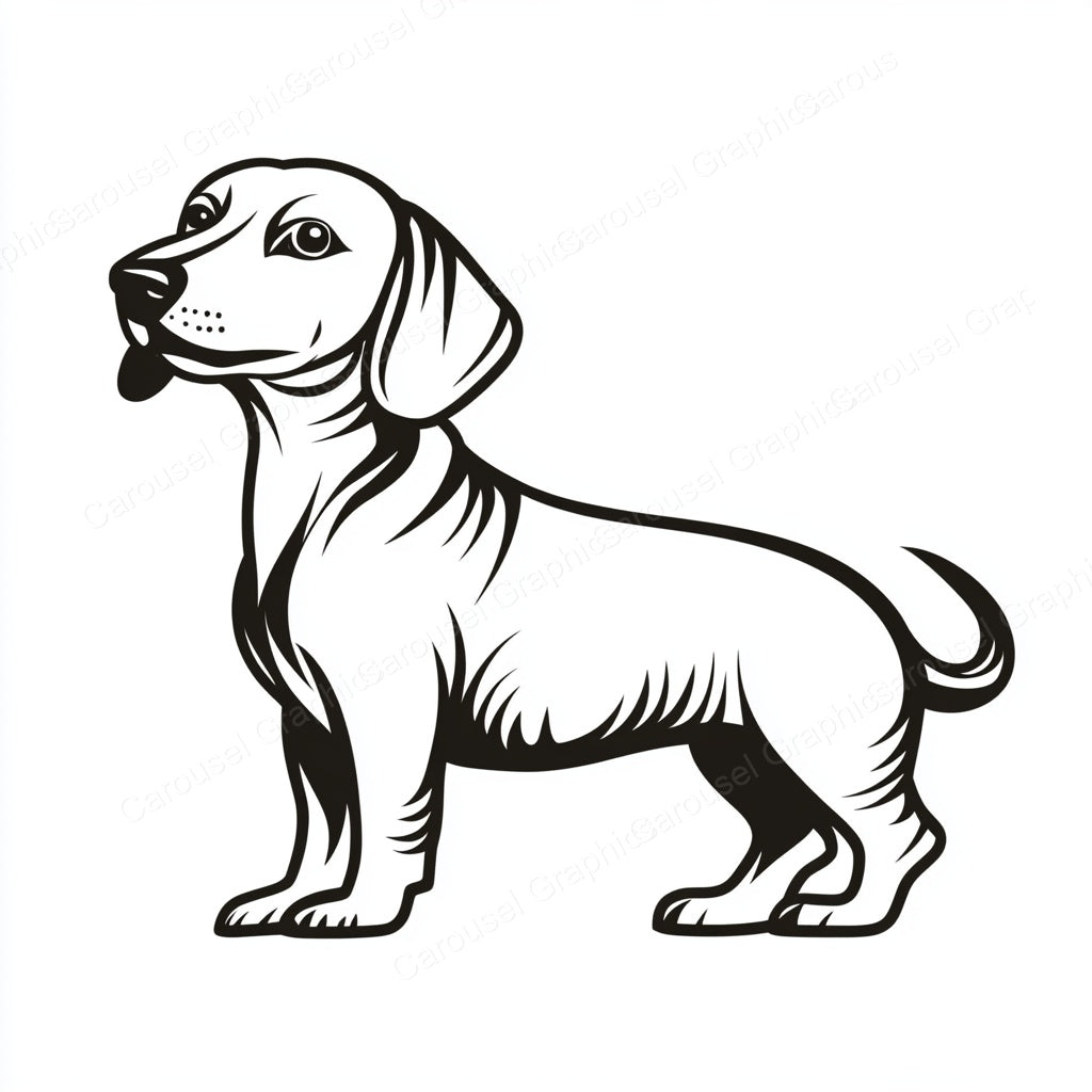 Dachshund Vector Graphic preview