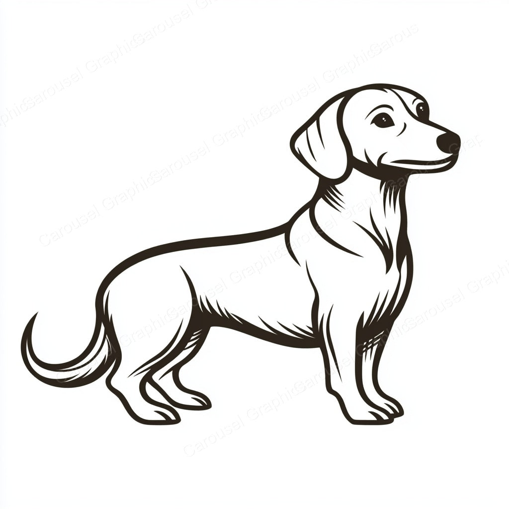 Dachshund Vector Graphic preview