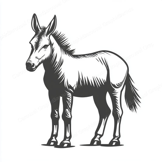 Donkey Vector Graphic preview