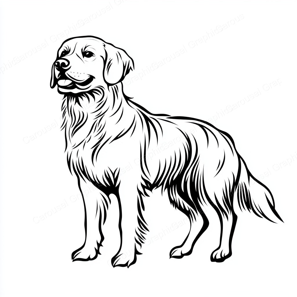 Golden Retriever Vector Graphic preview