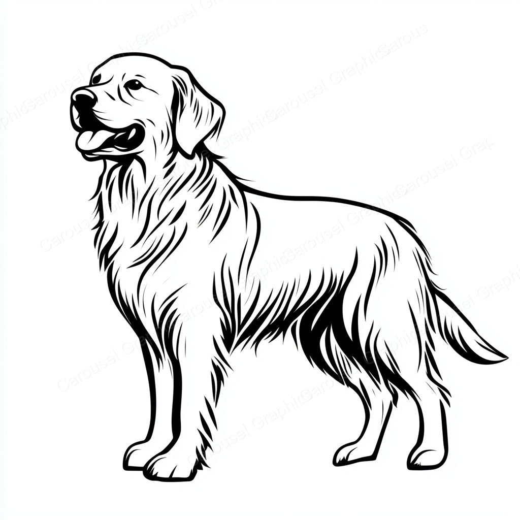 Golden Retriever Vector Graphic preview