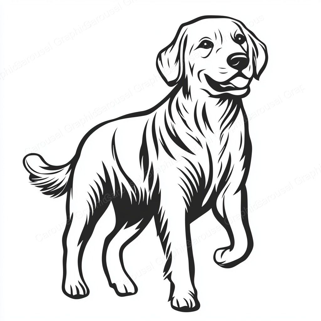 Golden Retriever Vector Graphic preview