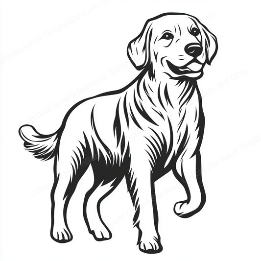 Golden Retriever Vector Graphic preview
