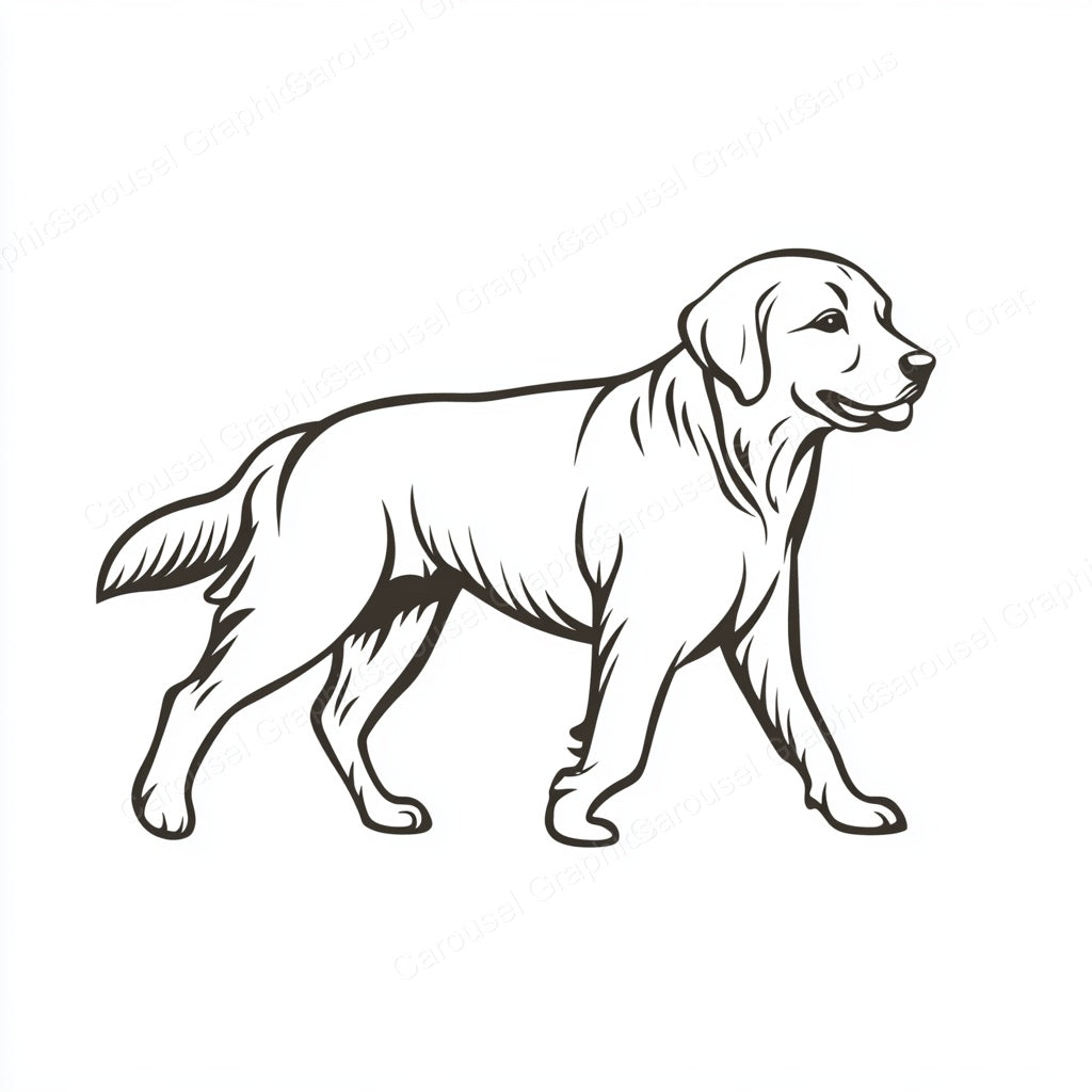 Golden Retriever Vector Graphic preview