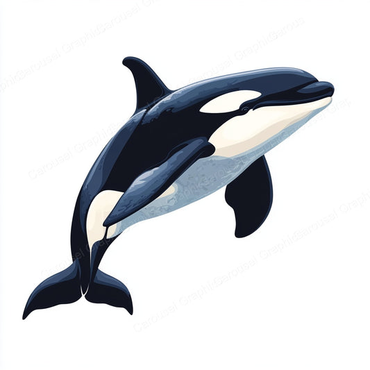 Orca Vector Graphic preview