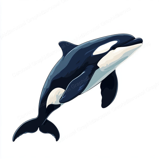 Orca Vector Graphic preview