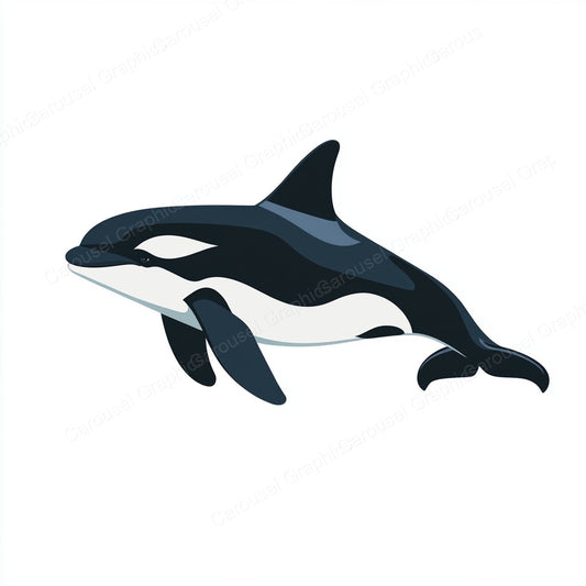 Orca Vector Graphic preview