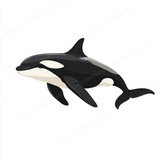 Orca Vector Graphic preview
