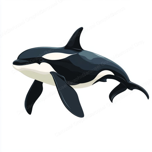 Orca Vector Graphic preview