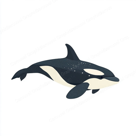 Orca Vector Graphic preview