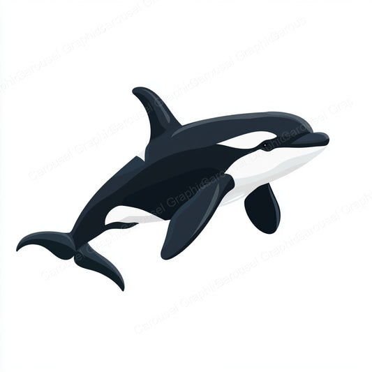 Orca Vector Graphic preview