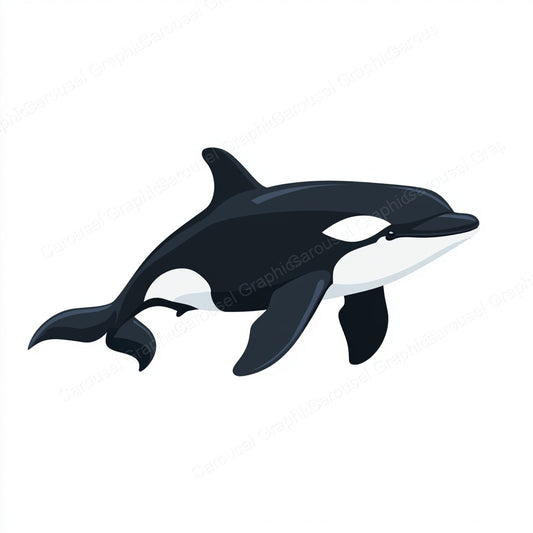 Orca Vector Graphic preview