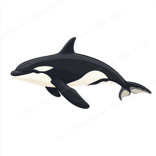 Orca Vector Graphic preview