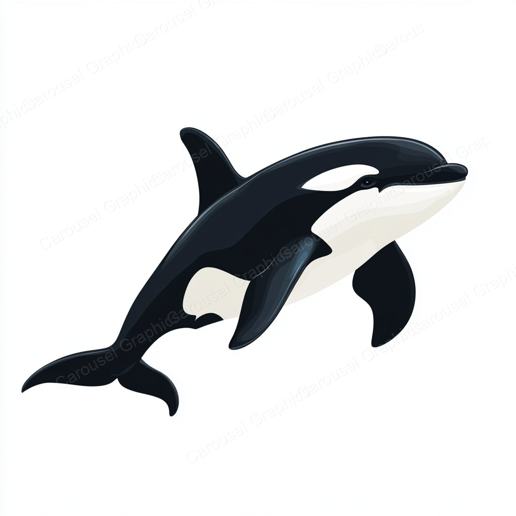 Orca Vector Graphic preview