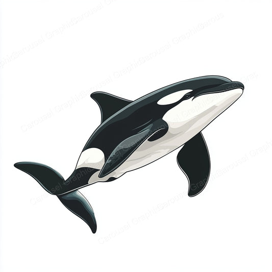 Orca Vector Graphic preview