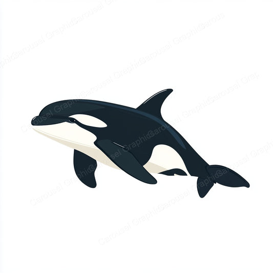 Orca Vector Graphic preview