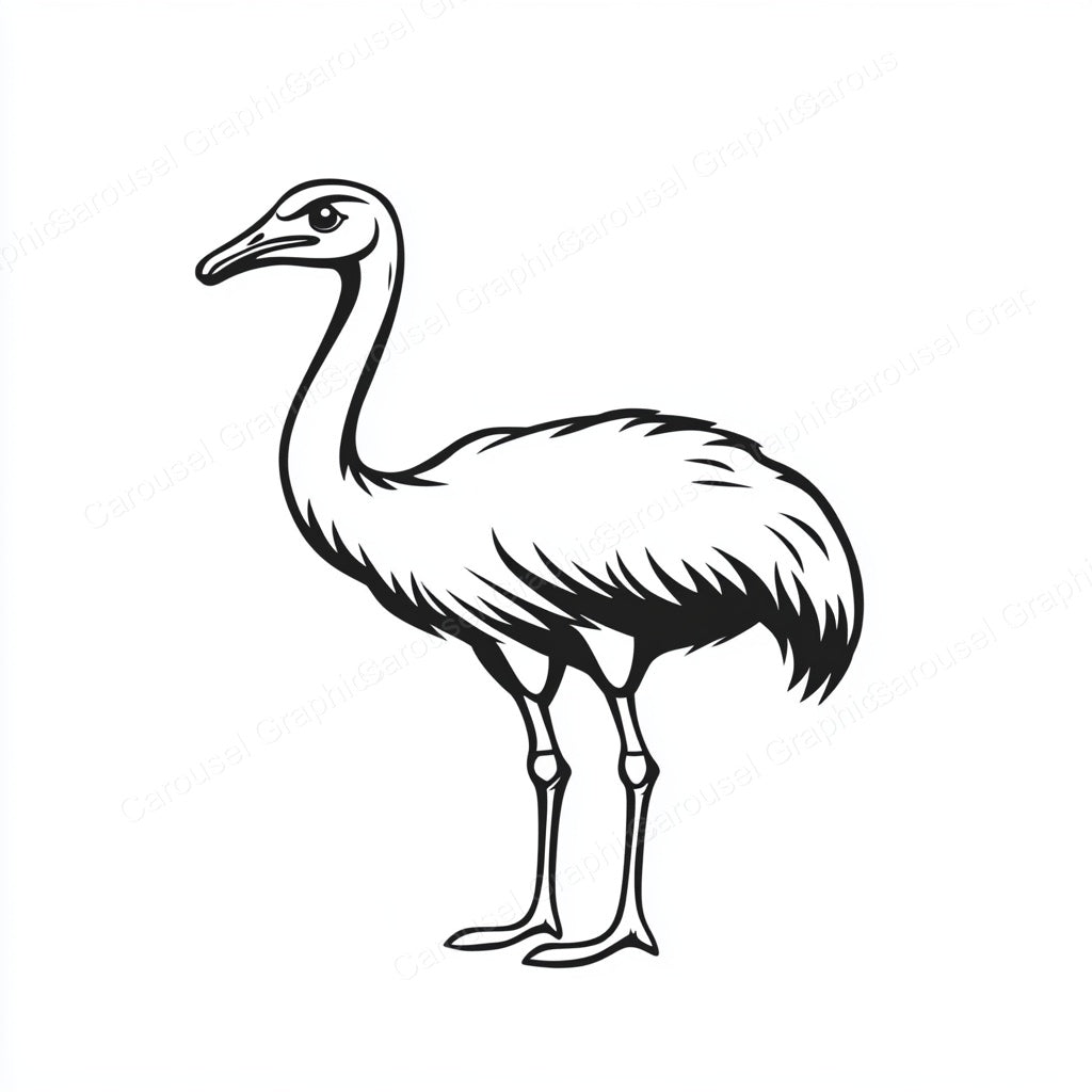 Ostrich Vector Graphic preview
