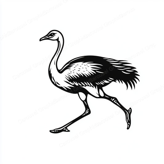 Ostrich Vector Graphic preview