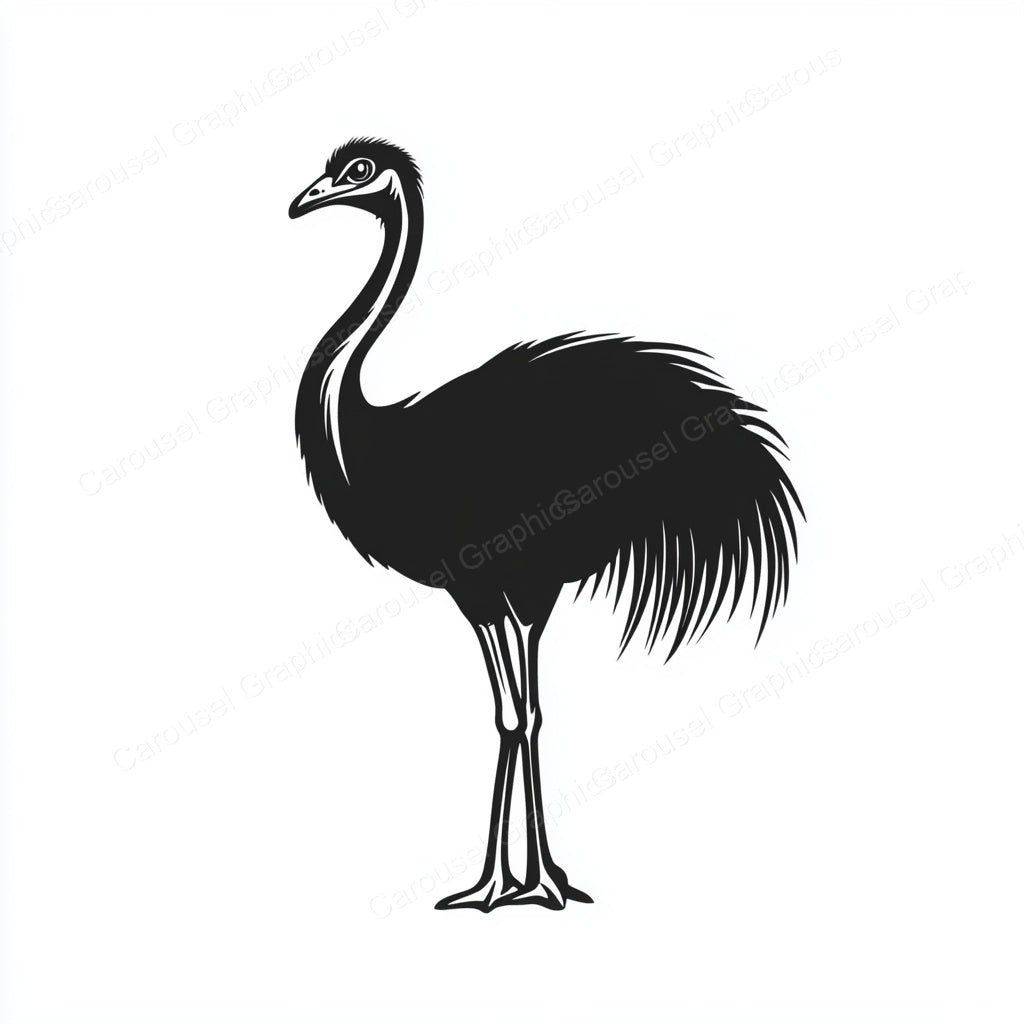 Ostrich Vector Graphic preview