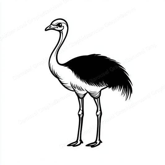 Ostrich Vector Graphic preview