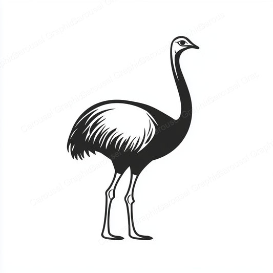 Ostrich Vector Graphic preview