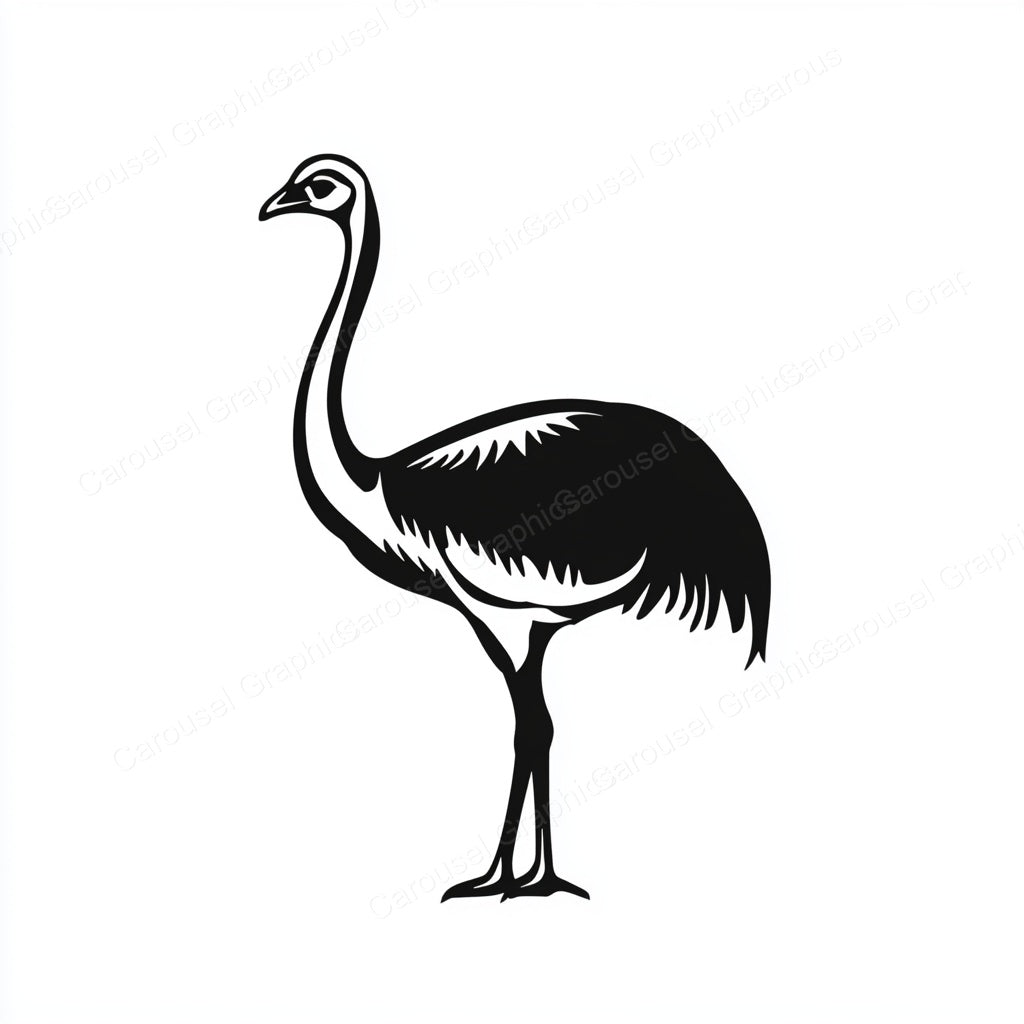 Ostrich Vector Graphic preview