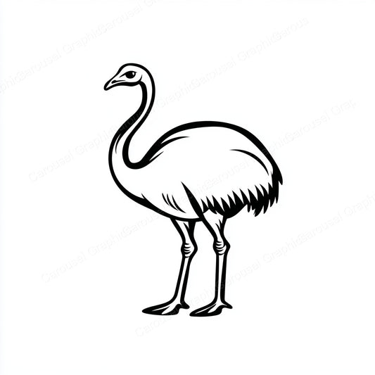 Ostrich Vector Graphic preview