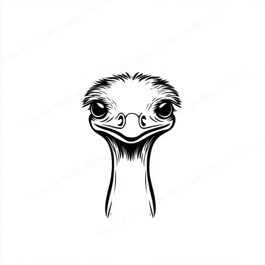Ostrich Vector Graphic preview