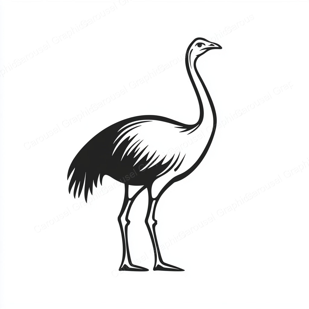 Ostrich Vector Graphic preview