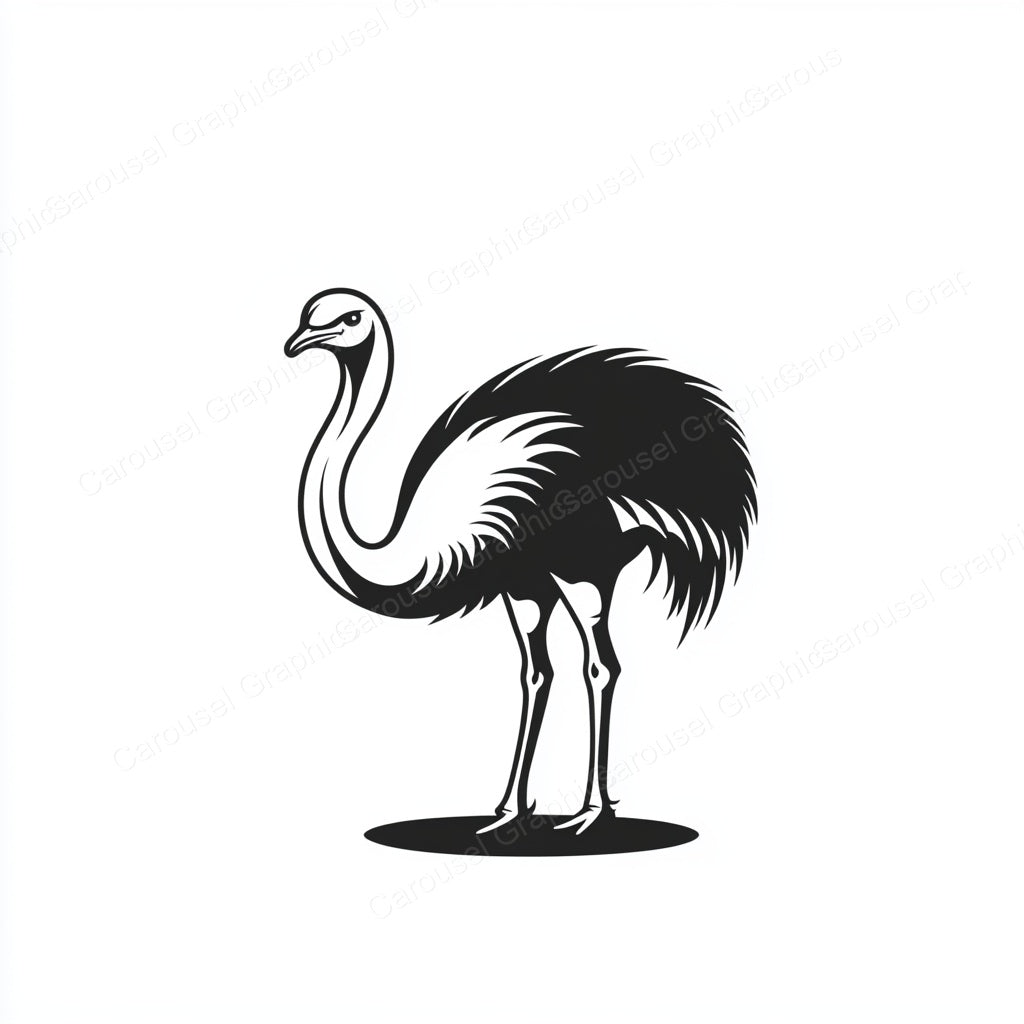 Ostrich Vector Graphic preview
