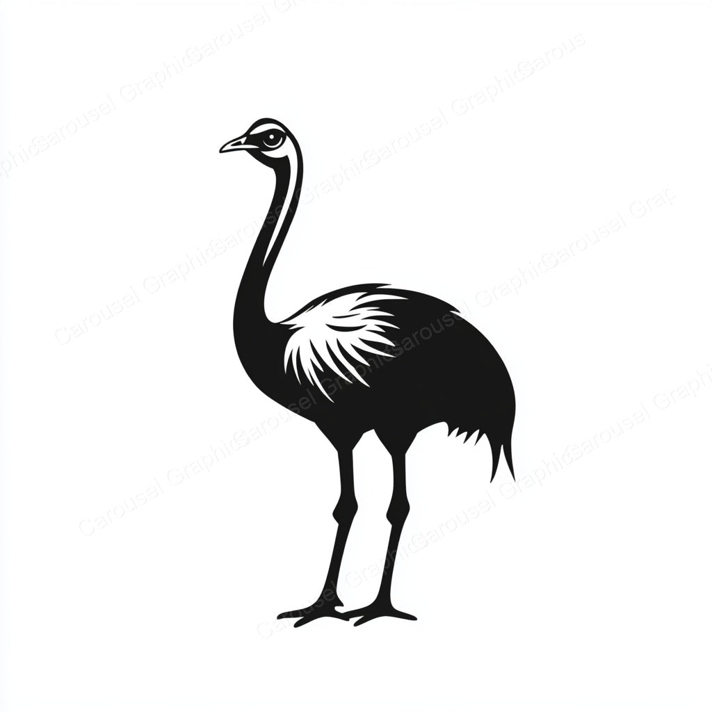 Ostrich Vector Graphic preview