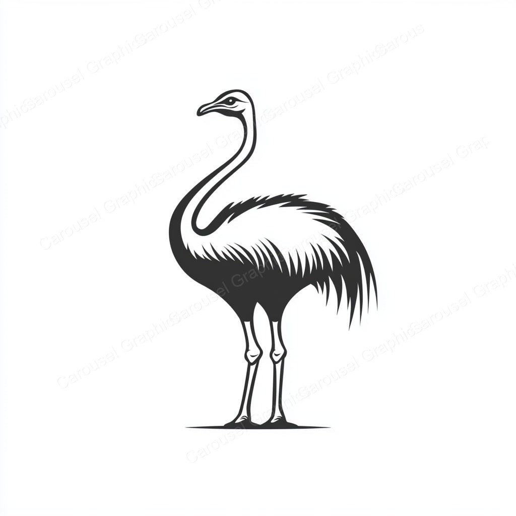 Ostrich Vector Graphic preview