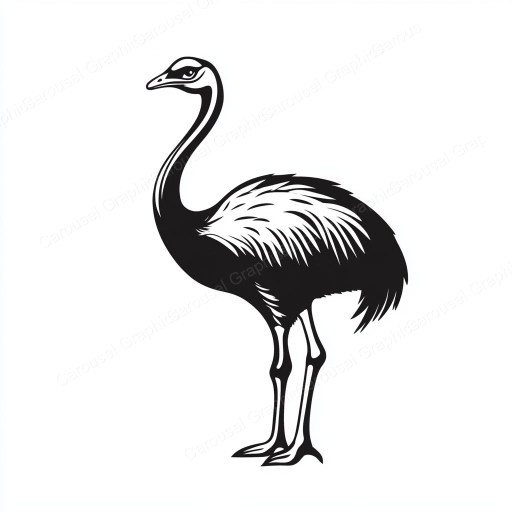 Ostrich Vector Graphic preview