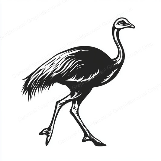 Ostrich Vector Graphic preview