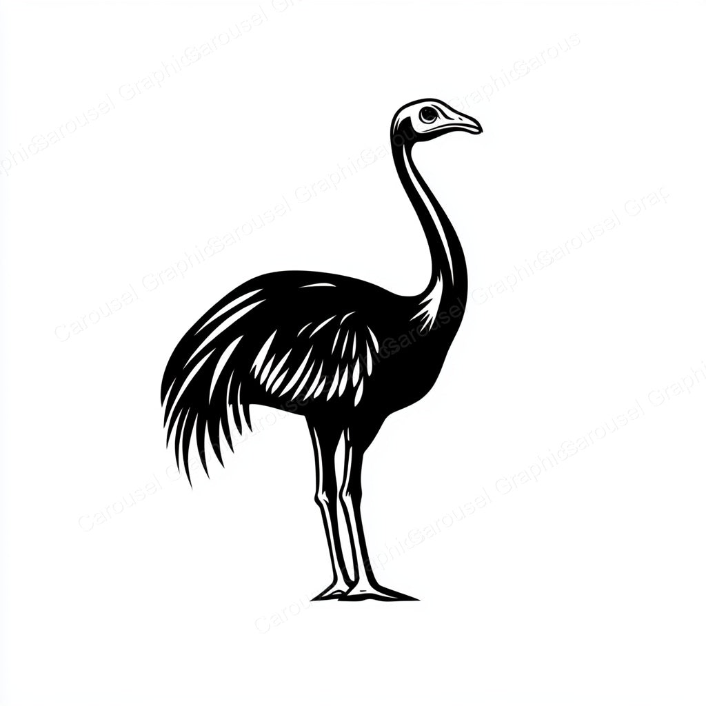 Ostrich Vector Graphic preview