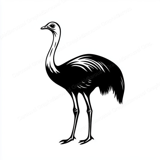 Ostrich Vector Graphic preview